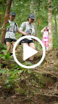 BIB:  <button type="button" onclick="openModal(27587821)" class="btn btn-primary btn-sm float-right" data-toggle="modal" data-target=".modal-high-quality">
                <i class="fa fa-download"></i> Download
                </button>